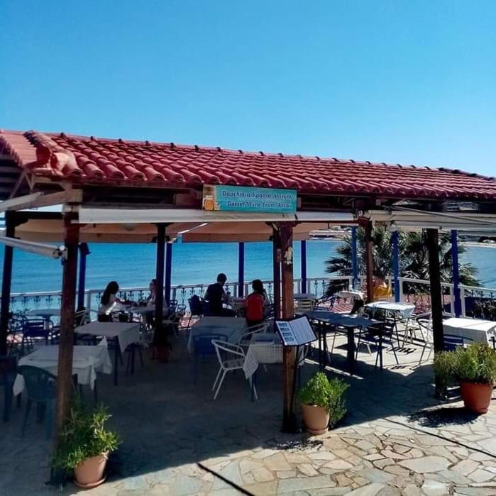 Svetlana & Michalis Oasis Hotel Agia Marina  ภายนอก รูปภาพ